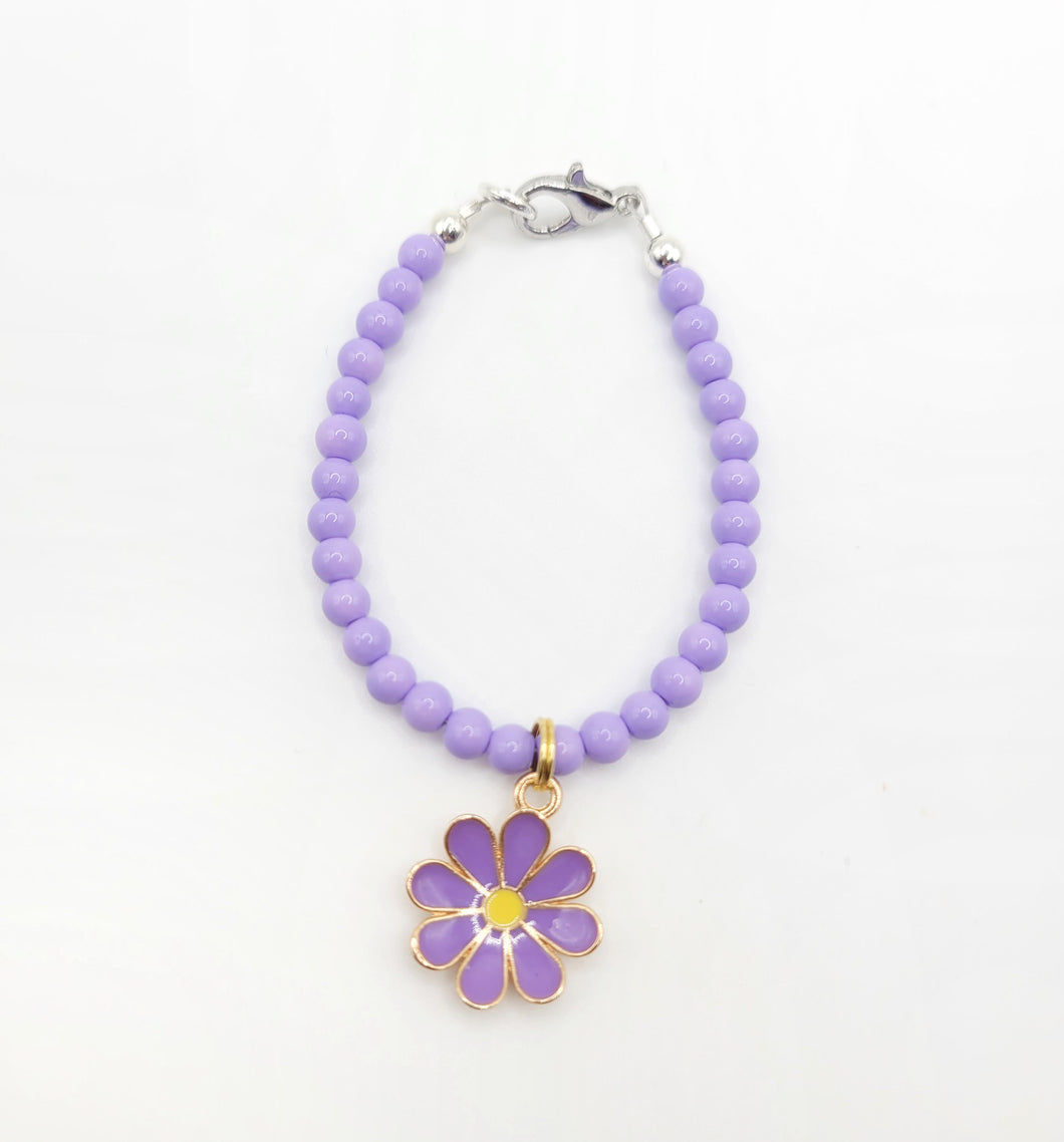 Lavender Daisy